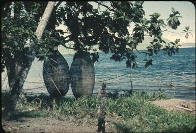 Completed Tolai fish traps : Rabaul, New Britain, Papua New Guinea, 1960-1961 / Terence and Margaret Spencer