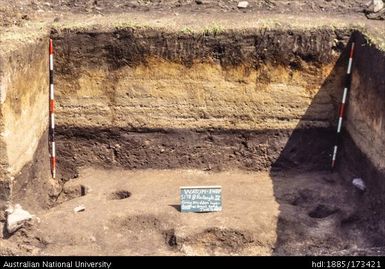 Rectangle IV with feature at base of Zone C-2, shows overall intact stratigraphy of site very well