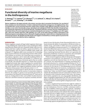 Functional diversity of marine megafauna in the Anthropocene