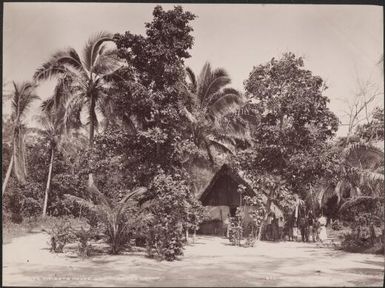 The priest's house at Rowa, Banks Islands, 1906 / J.W. Beattie