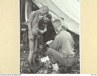 WASU, PAPUA, 1944-03-25. VX63916 CORPORAL H. H. COURTIER (1), AND VX65653 PRIVATE R. TOOMER (2), MEMBERS OF THE 2/5TH FIELD AMBULANCE, GIVE MEDICAL AID TO A JAPANESE PRISONER OF WAR. THE PRISONER ..