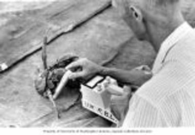 Kelshaw Bonham taking radiation readings from a crab, Bikini Atoll, summer 1964