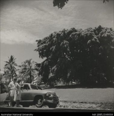 Tennis player standing by car