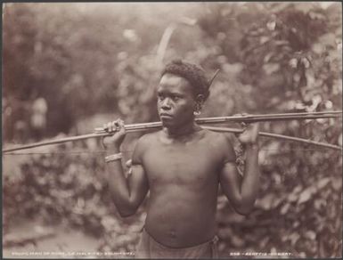A young man holding a bow and arrow, Malaita, Solomon Islands, 1906 / J.W. Beattie