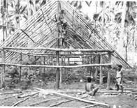 Ninth General Hospital. World War II. New Guinea.