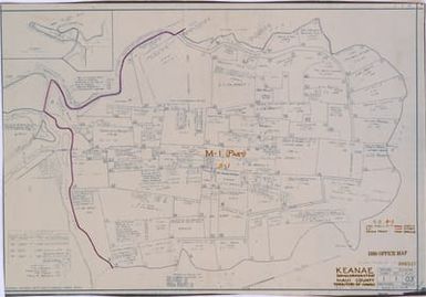 1950 Census Enumeration District Maps - Hawaii (HI) - Maui County - Keanae - ED 5-1