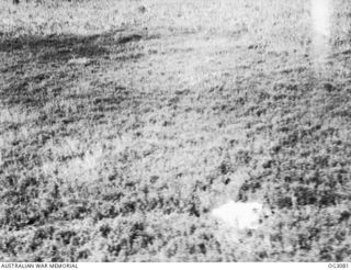 WEWAK AREA, NORTH EAST NEW GUINEA. C. 1945-06. A RAAF CAMERAMAN, IN A PROTECTING AIRCRAFT, PHOTOGRAPHED LIEUTENANT (LT) J. P. CARTER STANDING ALONGSIDE HIS PARACHUTE, WHICH HE HAD SPREAD ON THE ..