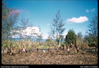 Clearing land for Wano's new garden