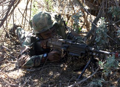 A US Marine from 1ST Battalion, 3rd Marines, Weapons Company, armed with an M249 Squad Automatic Weapon (SAW) lays in the prone position during a training exercise at Pohakuloa Training Area on the Big Island of Hawaii