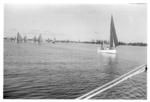 Gaff rigged sailboat in the Nuku'alofa harbour, day of the yacht regatta.