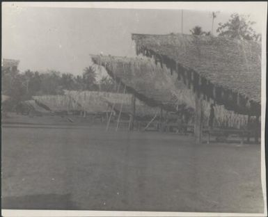 Two rows of houses with tassels hanging from their eaves, Awar village near Wauchope's plantation, Sepik River, New Guinea, 1935 / Sarah Chinnery