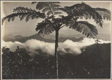 Looking towards Mount Yule from Dilava, [1] Frank Hurley