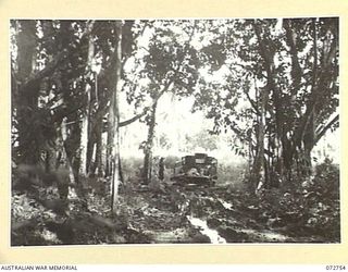 MADANG, NEW GUINEA. 1944-04-26. A JAPANESE TRUCK, ABANDONED IN A RUBBER AND COPRA PLANTATION AT BOGADJIM, WHICH WAS CAPTURED WITH OTHER VEHICLES DURING THE ADVANCE OF THE 57/60TH INFANTRY BATTALION