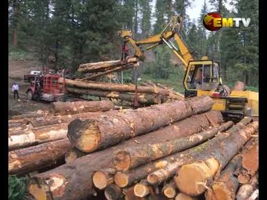 Forestry Review