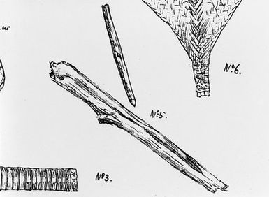 ["Fire-stick, Fiji in Edge Partington"]