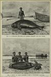 Dugong hunter of Torres Straits and his prize ; Motu of Port Moresby with a captured dugong