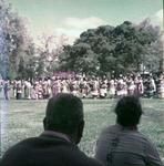 Lakalaka Laione, Palace grounds. Showing the lakalaka to the King a few days prior to public performance at Coronation celebrations.