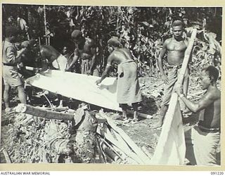 BOUGAINVILLE. 1945-04-26. NATIVES PREPARING STRETCHERS AT B COMPANY HEADQUARTERS, 24 INFANTRY BATTALION, IN READINESS FOR CARRYING BATTLE CASUALTIES BACK TO THE ADVANCED DRESSING STATION DURING C ..