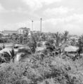 United States, houses and sugar mill in Waipahu