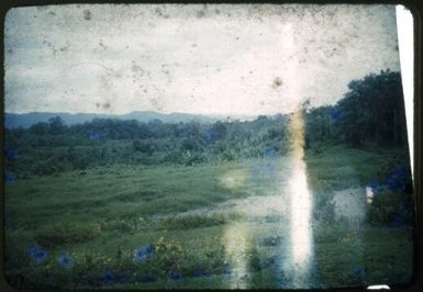 View from Awala towards Kokada [Kokoda?], [1951] Albert Speer