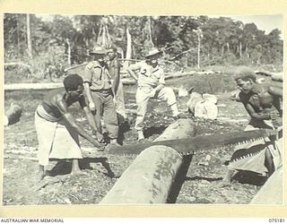 LAE, NEW GUINEA. 1944-08-11. QX19131 LIEUTENANT E.J. BATES, OFFICER COMMANDING, 2/3RD FORESTRY COMPANY (1) SUPERVISING NATIVE BOYS CUTTING UP LOGS INTO LENGTHS AT THE UNIT SAWMILL