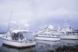 French Polynesia, fishing boats docked along shore of Tahiti Island