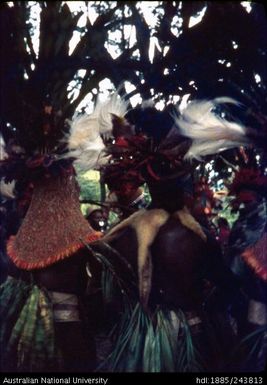 Ceremonial head dresses