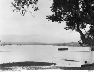 MILNE BAY, NEW GUINEA. 1943-06-29. MILNE BAY EARLY IN THE MORNING, LOOKING FROM LYAL WHARF TOWARDS PONTOON WHARF. SHIPS IN HARBOUR ARE MAINLY AMERICAN SUPPLY SHIPS