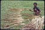 Weaving: woman spreads pandanus leaves to dry, preparing them to be used in basket- or mat-making