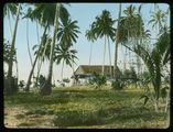 Polynesian hut