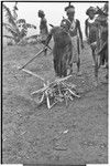 Pig festival, stake-planting, Tuguma: heated bamboo explodes, indicating time for Tsembaga men to leave for Tuguma