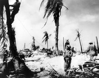 [Marines Stringing Telephone Lines Between Trees]