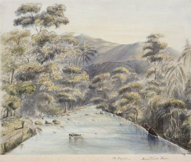 Bent, Thomas, 1833?-1887 :The Rapids, Annitium River. [1857-1858].
