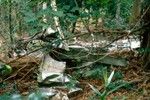 WWII Plane Wreckage, Rural Santo 4 of 4