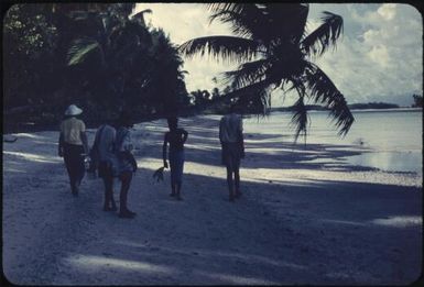 Further along the coral atoll beach (3) : Mortlock Islands, Papua New Guinea, 1960 / Terence and Margaret Spencer