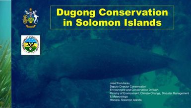 Dugong conservation in Solomon islands