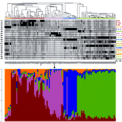 Identity clades, identity coda types, and posterior probabilities of repertoire assignment for Pacific sperm whales.