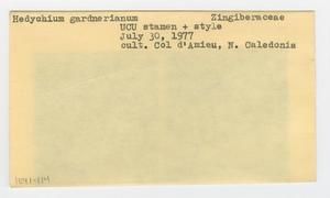 [Hedychium gardnerianum in New Caledonia, envelope IE41-114]