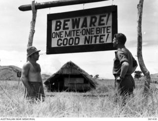 DUMPU, NEW GUINEA. 1943-12-06. ONE OF THE MANY SIGNPOSTS ERECTED AT THE DUMPU AIRSTRIP, RAMU VALLEY, BY THE 18TH AUSTRALIAN ANTI-MALARIAL CONTROL UNIT IN AN EFFORT TO IMPRESS ON THE TROOPS THE ..