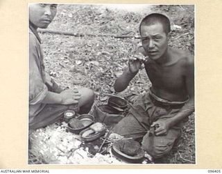 MUSCHU ISLAND, NEW GUINEA, 1945-09-11. FOLLOWING THE SURRENDER OF THE JAPANESE, MUSCHU ISLAND IS NOW UNDER THE CONTROL OF HQ 6 DIVISION. THIS PICTURE SHOWS A JAPANESE SOLDIER ABOUT TO EAT A SMALL ..