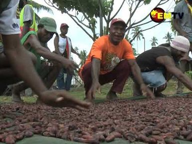 COCOA FARMERS TRAINING