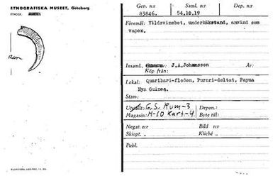 ["teckning, katalogkort", "teckning, katalogkort"]