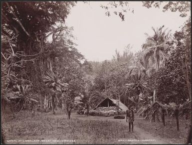 A gamal at Lamalana, Raga, New Hebrides, 1906 / J.W. Beattie