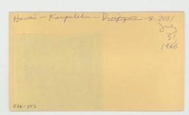 [Diospyros in Hawaii, envelope IE26-252]