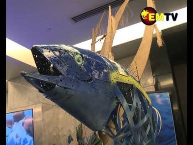 A Closer Look on 8th NFA Pacific Tuna Forum