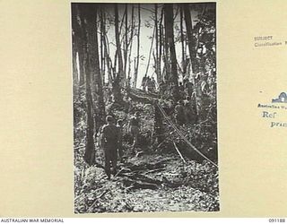 NUMA NUMA TRAIL, BOUGAINVILLE. 1945-04-24. A 27 INFANTRY BATTALION PATROL MOVING UP HUNT'S HILL. THIS WAS PART OF THE FIRST ACTION FOR THE BATTALION ON COMPLETION OF ITS TRAINING ON GREEN ISLAND
