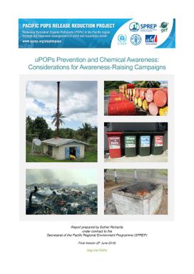 uPOPs Prevention and Chemical Awareness: Considerations for Awareness-Raising Campaigns.