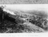 Papua New Guinea, burning forest in distance