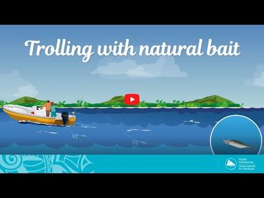 Fish and tips S1 Ep4 (English) - Trolling with natural bait