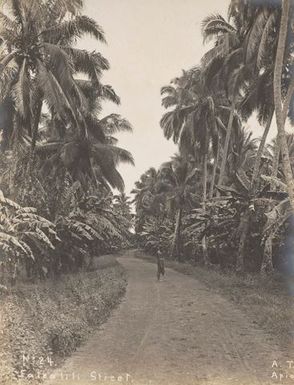 Falealili Street. From the album: Photographs of Apia, Samoa